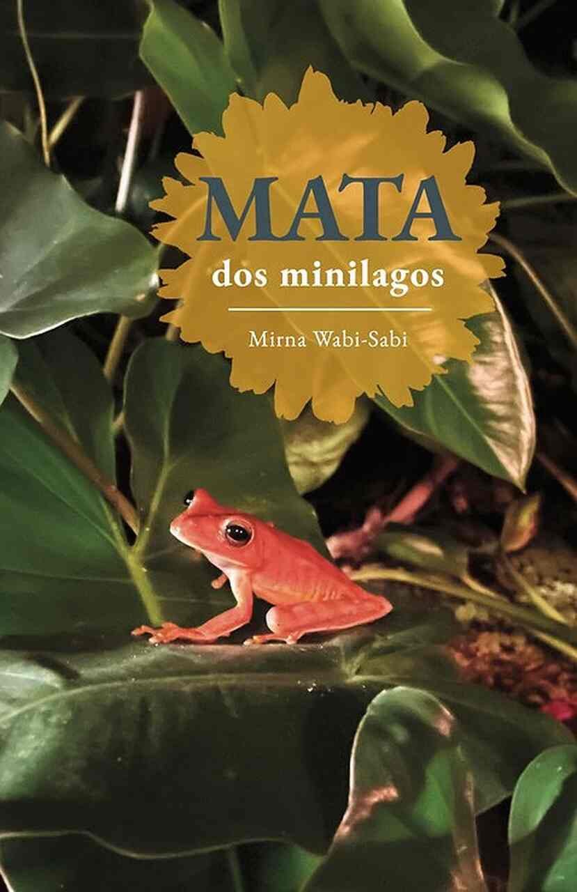 MATA dos minilagos