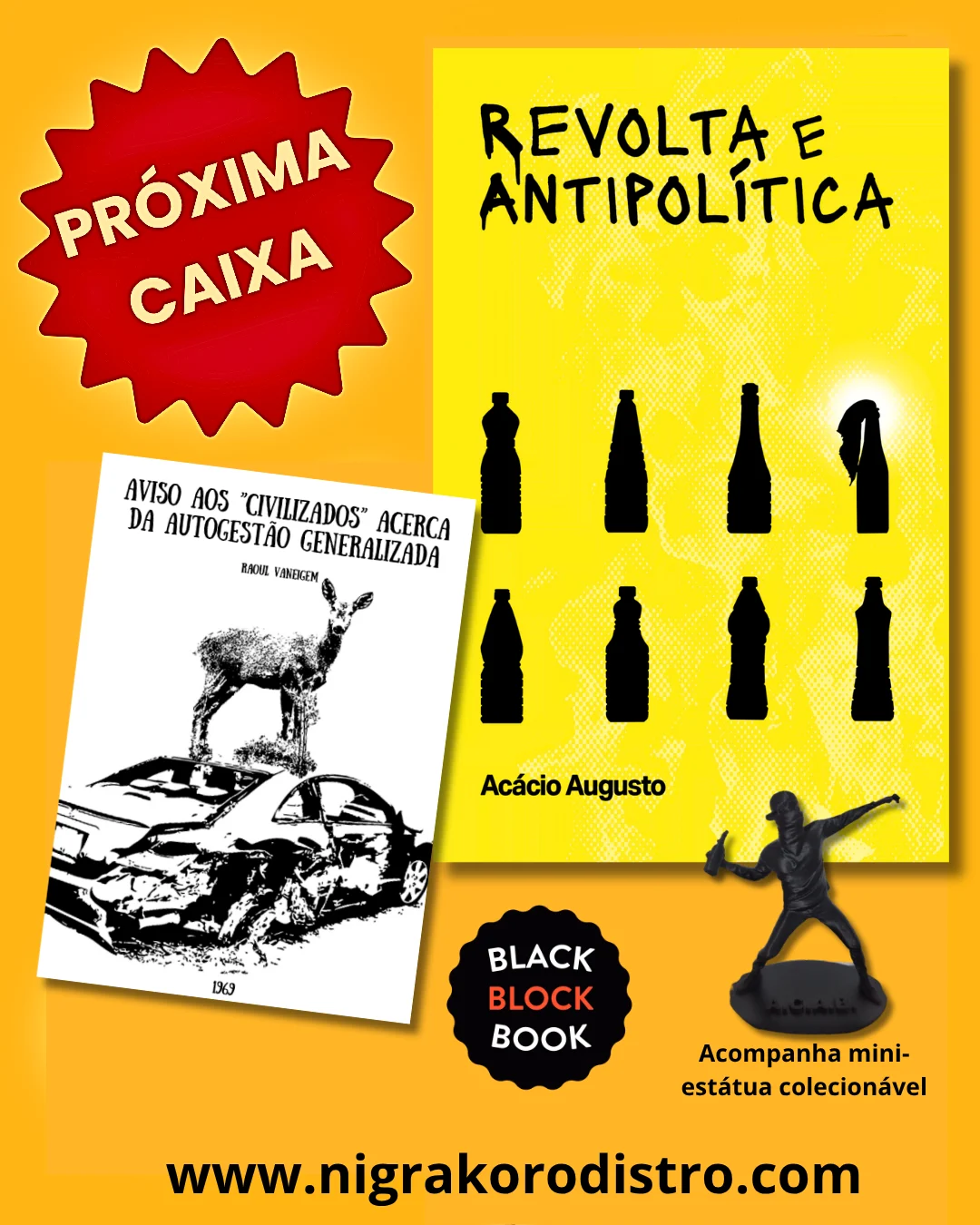 Revolta e antipolítica: anarquia!